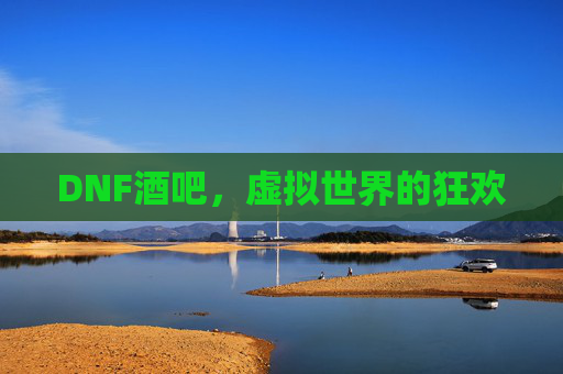 DNF酒吧，虚拟世界的狂欢