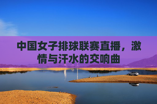 中国女子排球联赛直播,激情与汗水的交响曲 中国女子排球联赛直播,激情与汗水的交响曲