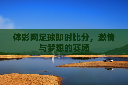 体彩网足球即时比分，激情与梦想的赛场