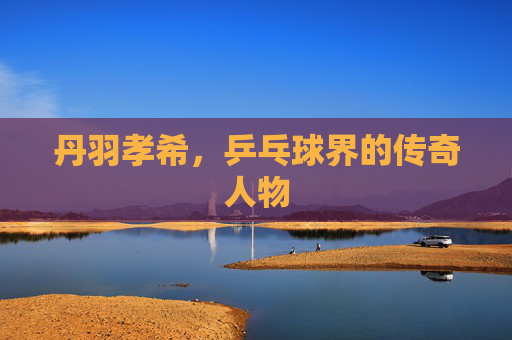 丹羽孝希，乒乓球界的传奇人物