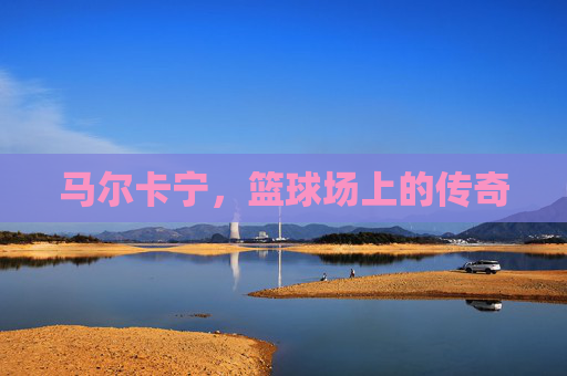 马尔卡宁，篮球场上的传奇