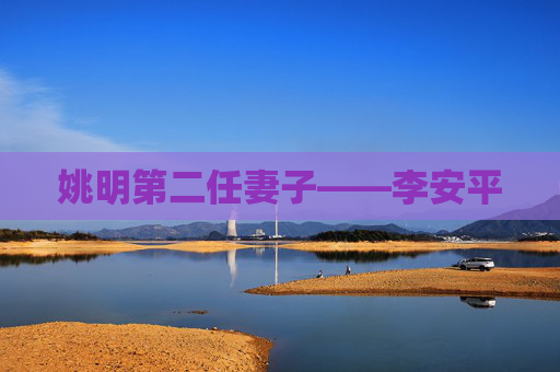 姚明第二任妻子——李安平