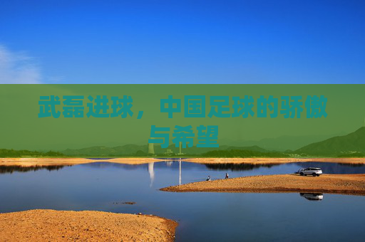 武磊进球，中国足球的骄傲与希望