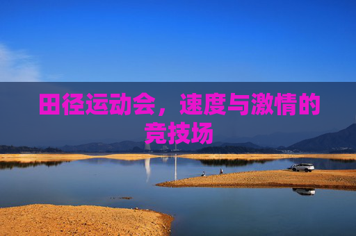 田径运动会，速度与激情的竞技场
