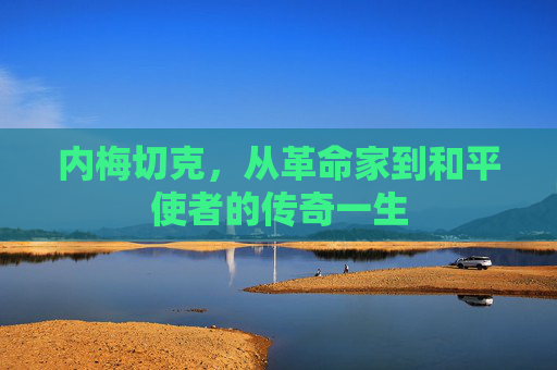 内梅切克,从革命家到和平使者的传奇一生 内梅切克,从革命家到和平使者的传奇一生