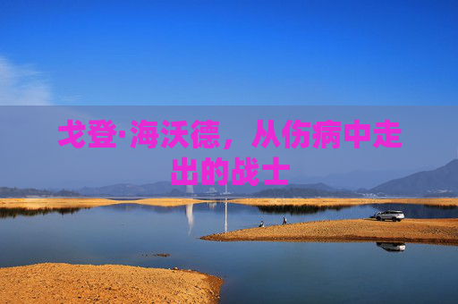 戈登·海沃德，从伤病中走出的战士