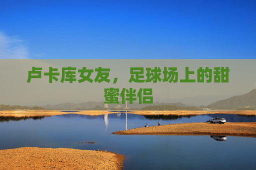 卢卡库女友，足球场上的甜蜜伴侣