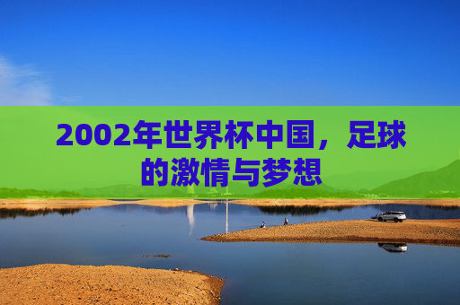 2002年世界杯中国，足球的激情与梦想