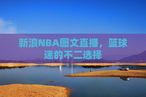 新浪NBA图文直播，篮球迷的不二选择