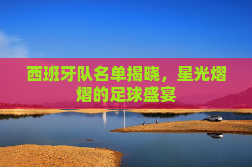 西班牙队名单揭晓，星光熠熠的足球盛宴
