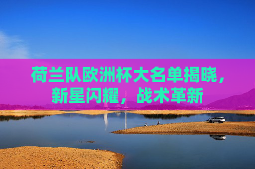 荷兰队欧洲杯大名单揭晓，新星闪耀，战术革新