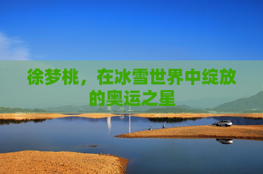 徐梦桃,在冰雪世界中绽放的奥运之星 徐梦桃,在冰雪世界中绽放的奥运之星