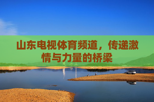 山东电视体育频道，传递激情与力量的桥梁