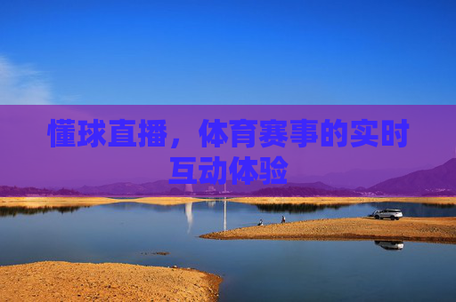 懂球直播,体育赛事的实时互动体验 懂球直播,体育赛事的实时互动体验