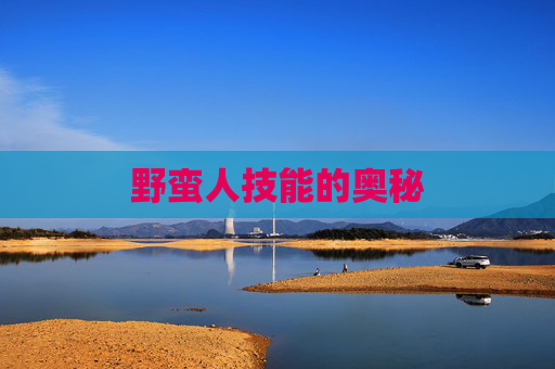野蛮人技能的奥秘