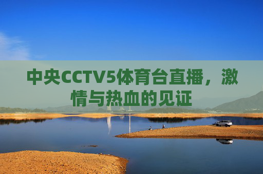 中央CCTV5体育台直播，激情与热血的见证