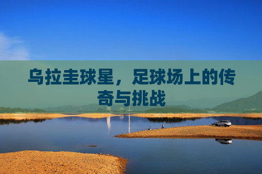 乌拉圭球星，足球场上的传奇与挑战