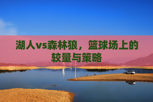 湖人vs森林狼，篮球场上的较量与策略