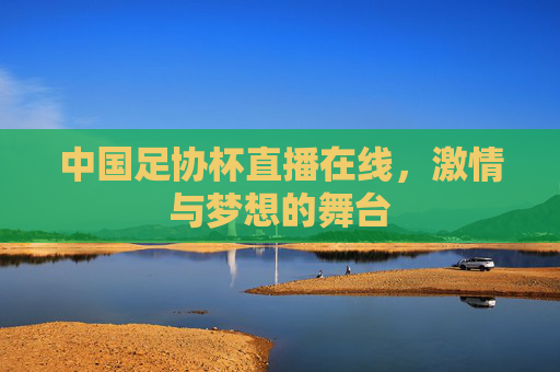 中国足协杯直播在线，激情与梦想的舞台