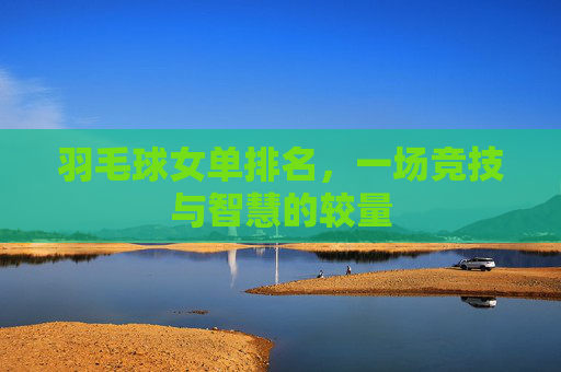 羽毛球女单排名，一场竞技与智慧的较量