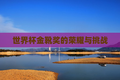 世界杯金靴奖的荣耀与挑战 世界杯金靴奖的荣耀与挑战