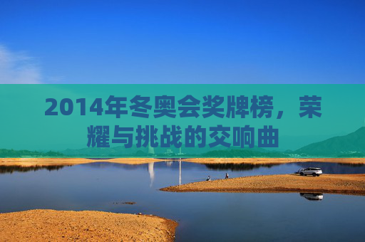 2014年冬奥会奖牌榜，荣耀与挑战的交响曲