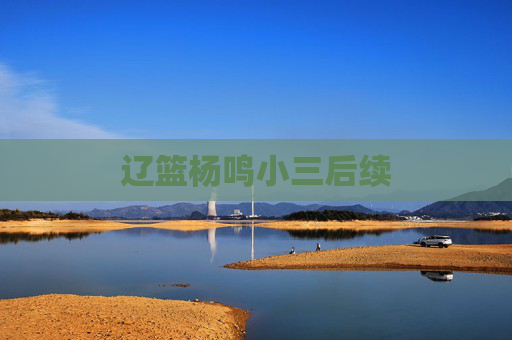 辽篮杨鸣小三后续