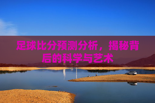 足球比分预测分析，揭秘背后的科学与艺术