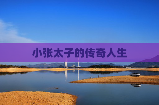 小张太子的传奇人生