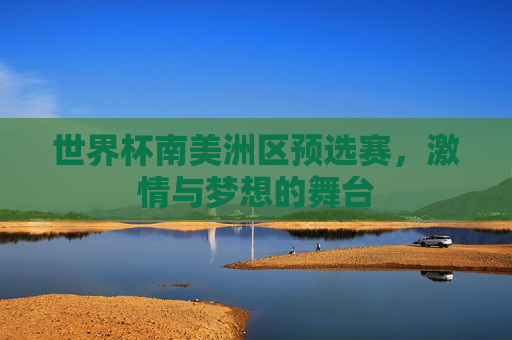 世界杯南美洲区预选赛，激情与梦想的舞台