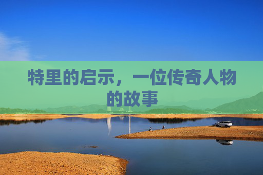 特里的启示，一位传奇人物的故事