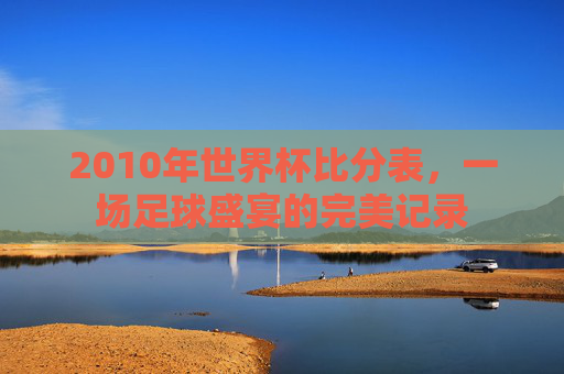 2010年世界杯比分表，一场足球盛宴的完美记录