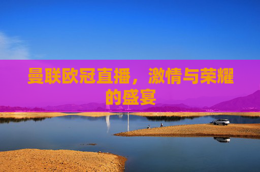 曼联欧冠直播，激情与荣耀的盛宴