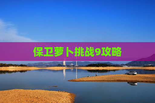 保卫萝卜挑战9攻略 保卫萝卜挑战9攻略