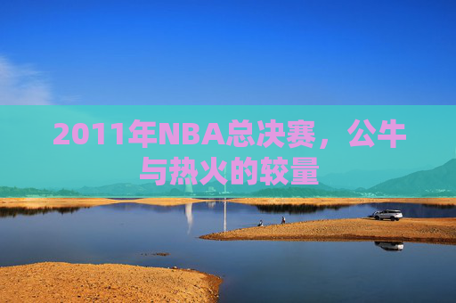 2011年NBA总决赛，公牛与热火的较量