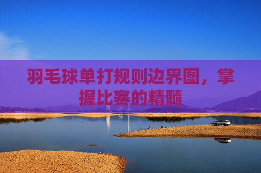 羽毛球单打规则边界图,掌握比赛的精髓 羽毛球单打规则边界图,掌握比赛的精髓