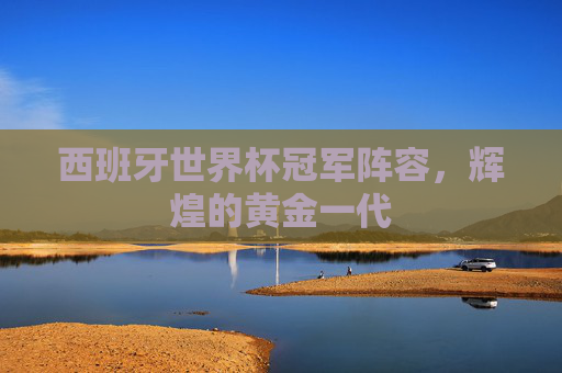西班牙世界杯冠军阵容，辉煌的黄金一代