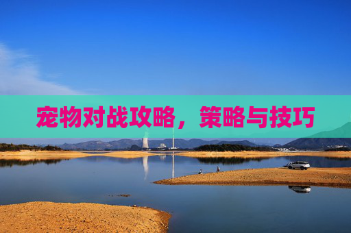 宠物对战攻略，策略与技巧
