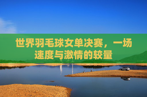 世界羽毛球女单决赛，一场速度与激情的较量