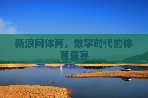 新浪网体育,数字时代的体育盛宴 新浪网体育,数字时代的体育盛宴