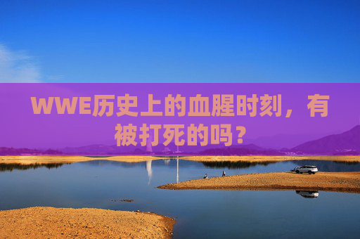 WWE历史上的血腥时刻，有被打死的吗？