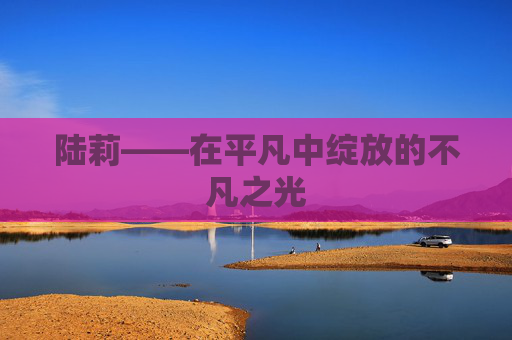 陆莉——在平凡中绽放的不凡之光