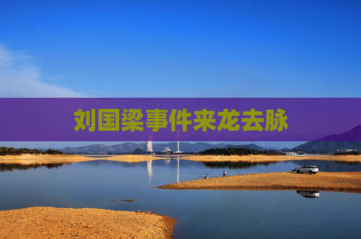 刘国梁事件来龙去脉