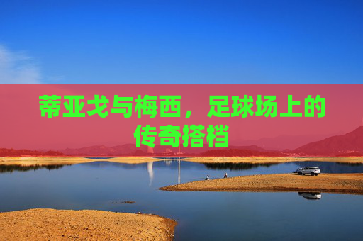 蒂亚戈与梅西，足球场上的传奇搭档