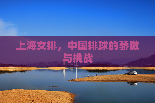 上海女排，中国排球的骄傲与挑战