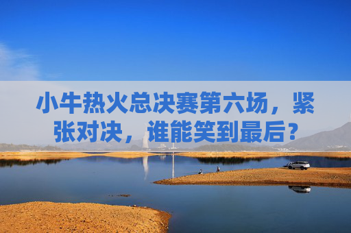 小牛热火总决赛第六场，紧张对决，谁能笑到最后？