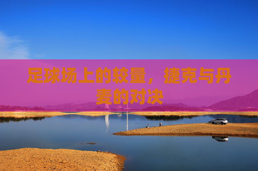 足球场上的较量，捷克与丹麦的对决