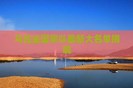 乌拉圭国家队最新大名单揭晓