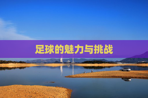 足球的魅力与挑战 足球的魅力与挑战