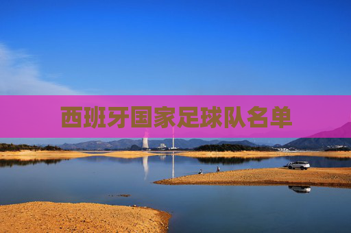 西班牙国家足球队名单